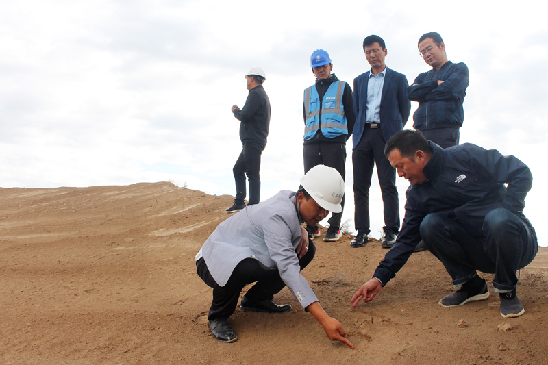 IMG_0700.jpg IMG_0700.jpg