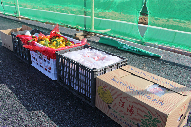 IMG_0902.jpg IMG_0902.jpg