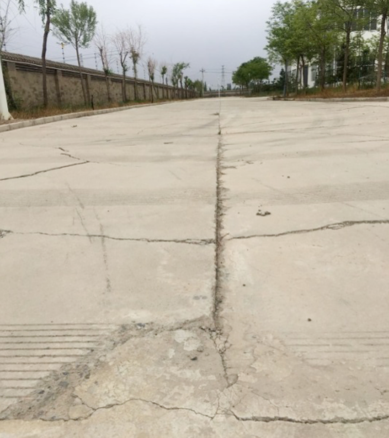 圖片3.png 圖片3.png